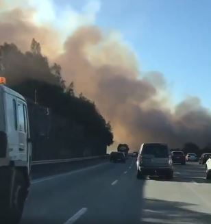 M1 FIRE: Crews battle grass flare up southbound near Ormeau