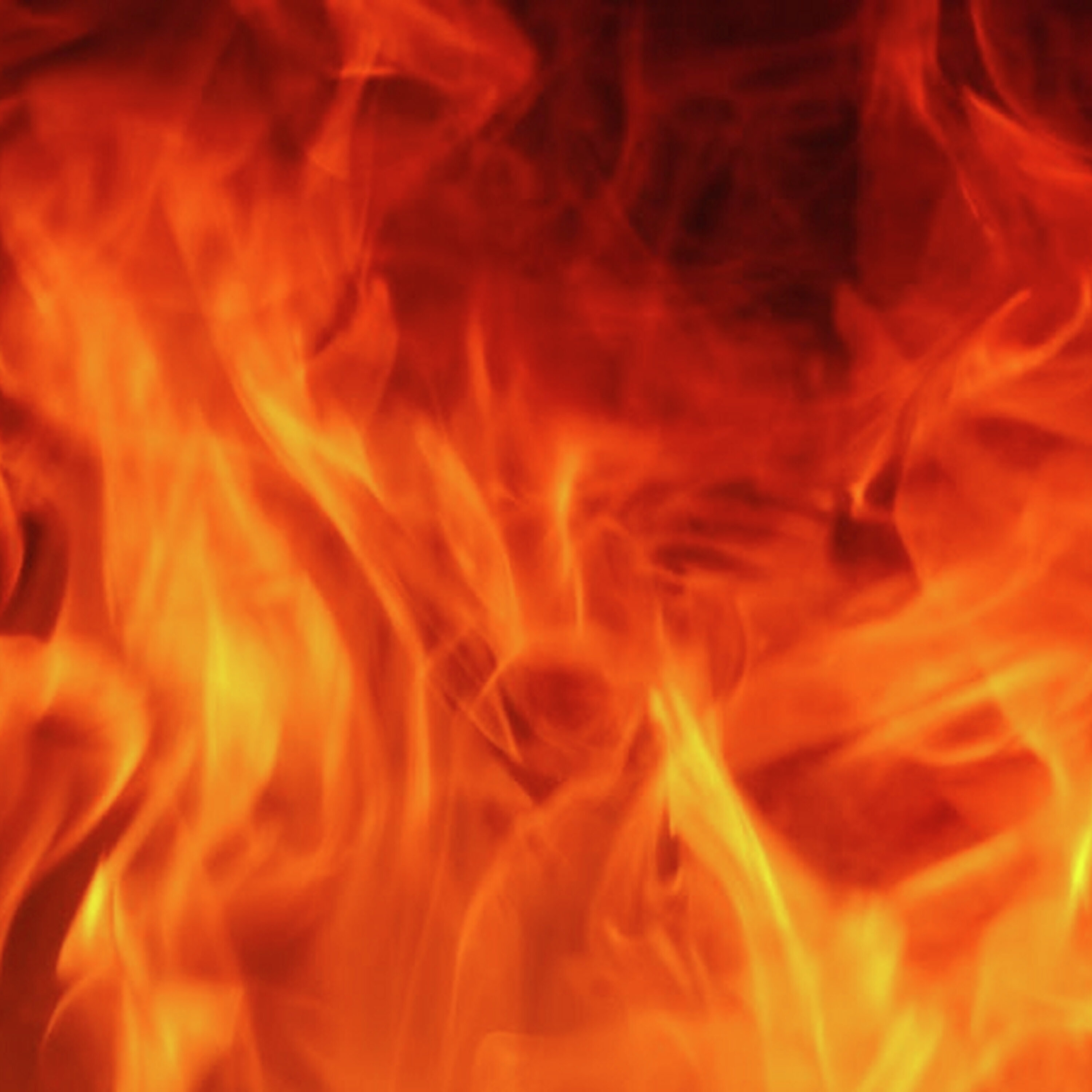 Family escapes Coomera house fire