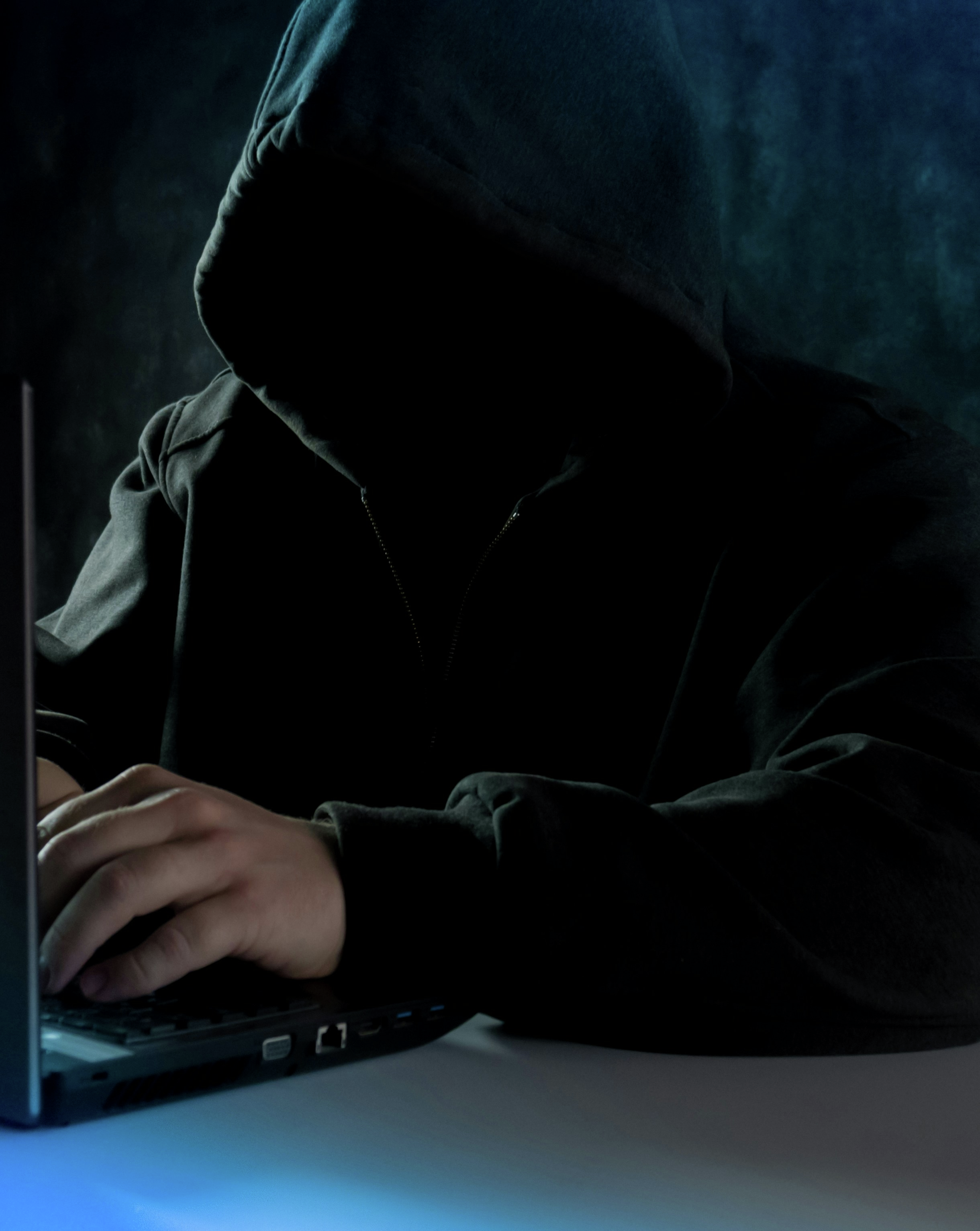 Redlynch man charged with 28 counts of fraud