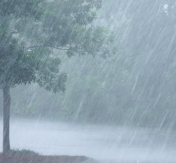 Rain to soak the Wide Bay