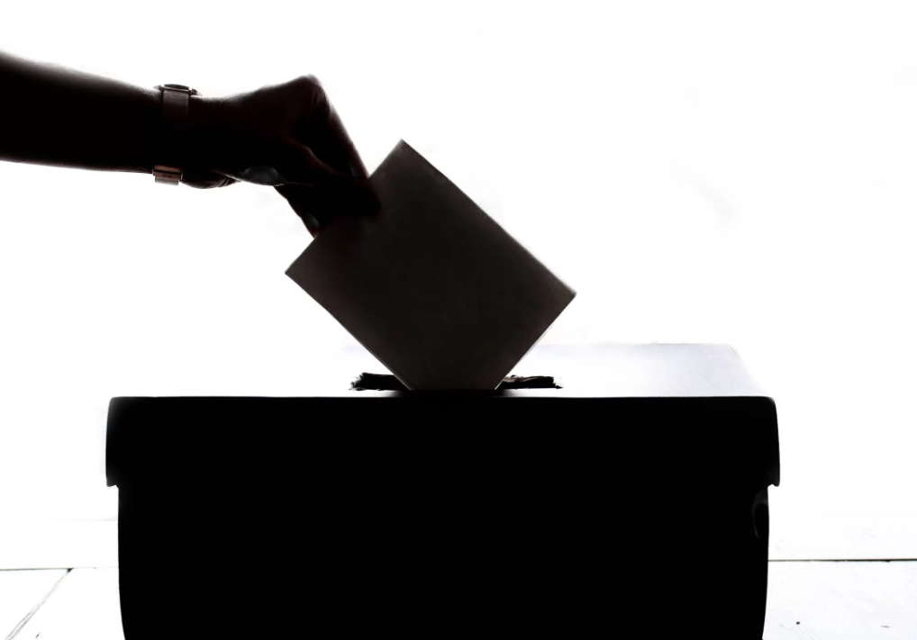 Thousands flock to local pre-polling booths