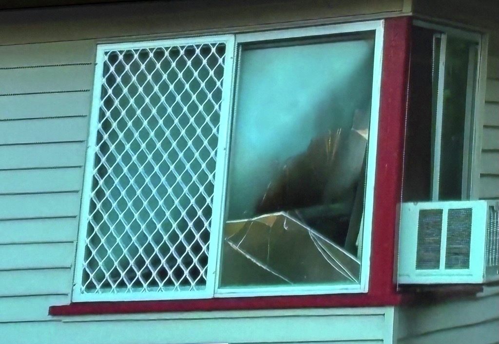 Beenleigh home damaged by fire following molotov cocktail 