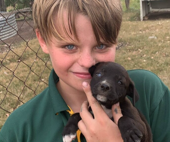 Murgon boy would have survived if treated following 2021 snake bite