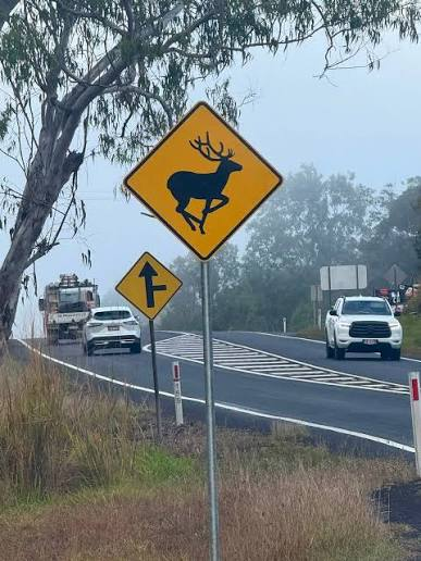 New deer warning signs installed on Kennedy Highway episode artwork