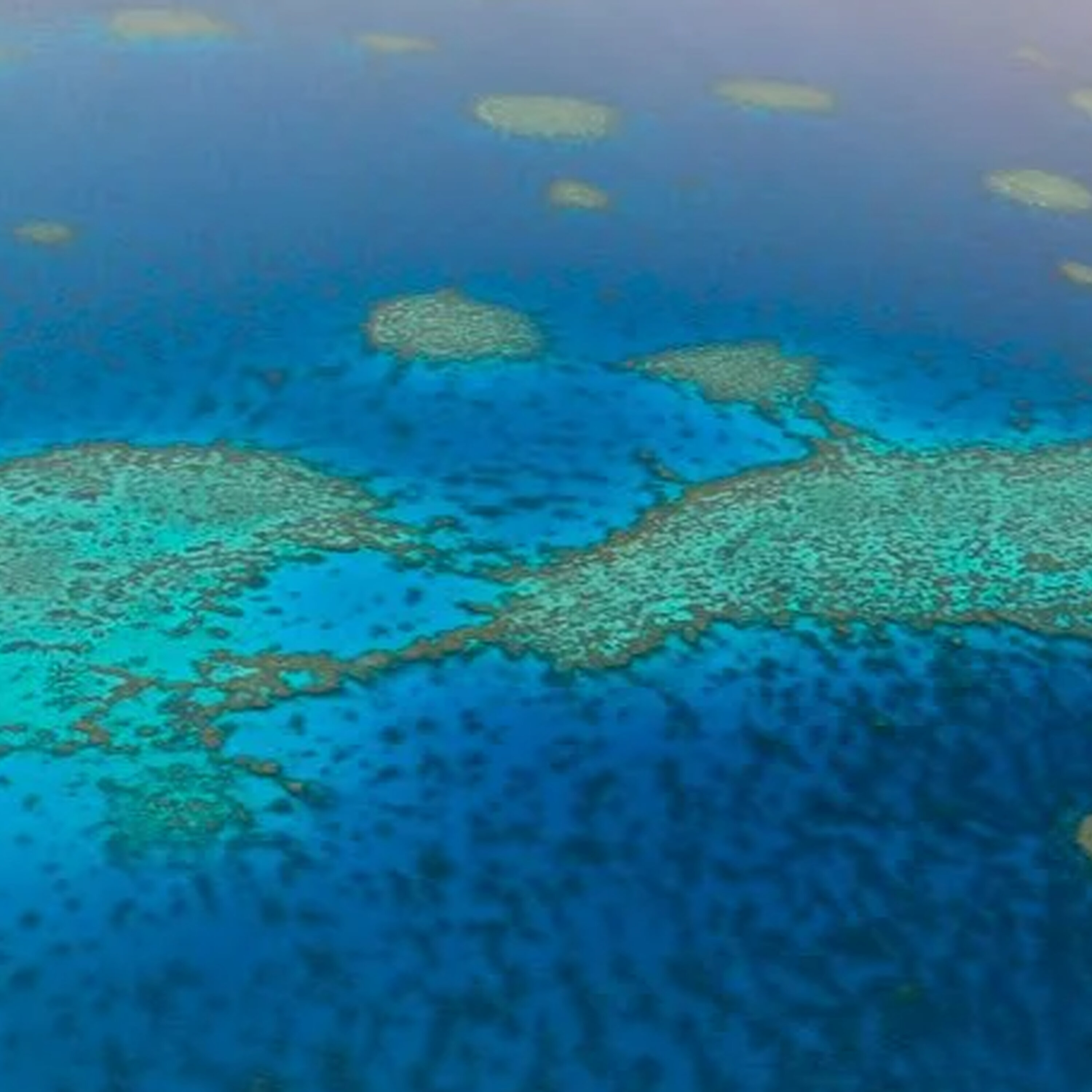 Huge government funding for Great Barrier Reef episode artwork