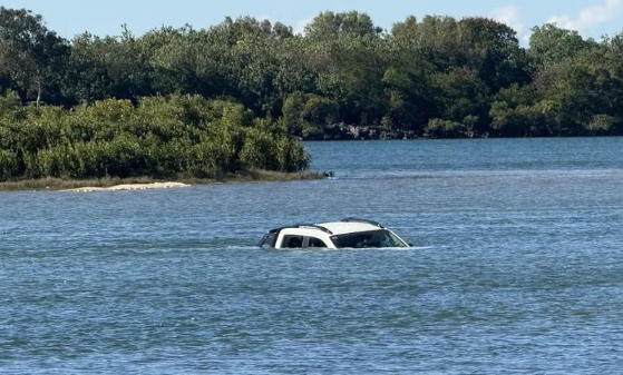 Tinny rescues man stranded in Pioneer River