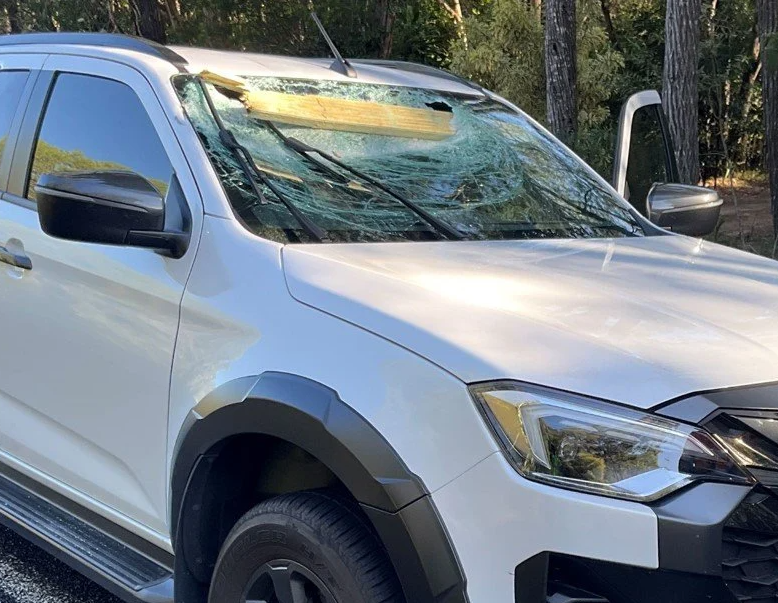 Couple escape injury after timber flies through their windscreen episode artwork