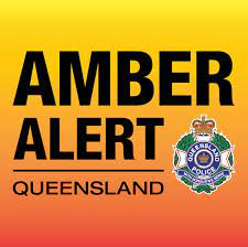 Search underway for missing 3 year old Oxenford toddler