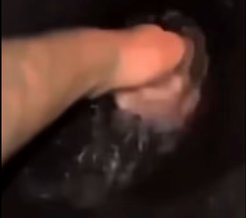 Broncos address player's toilet water drinking prank