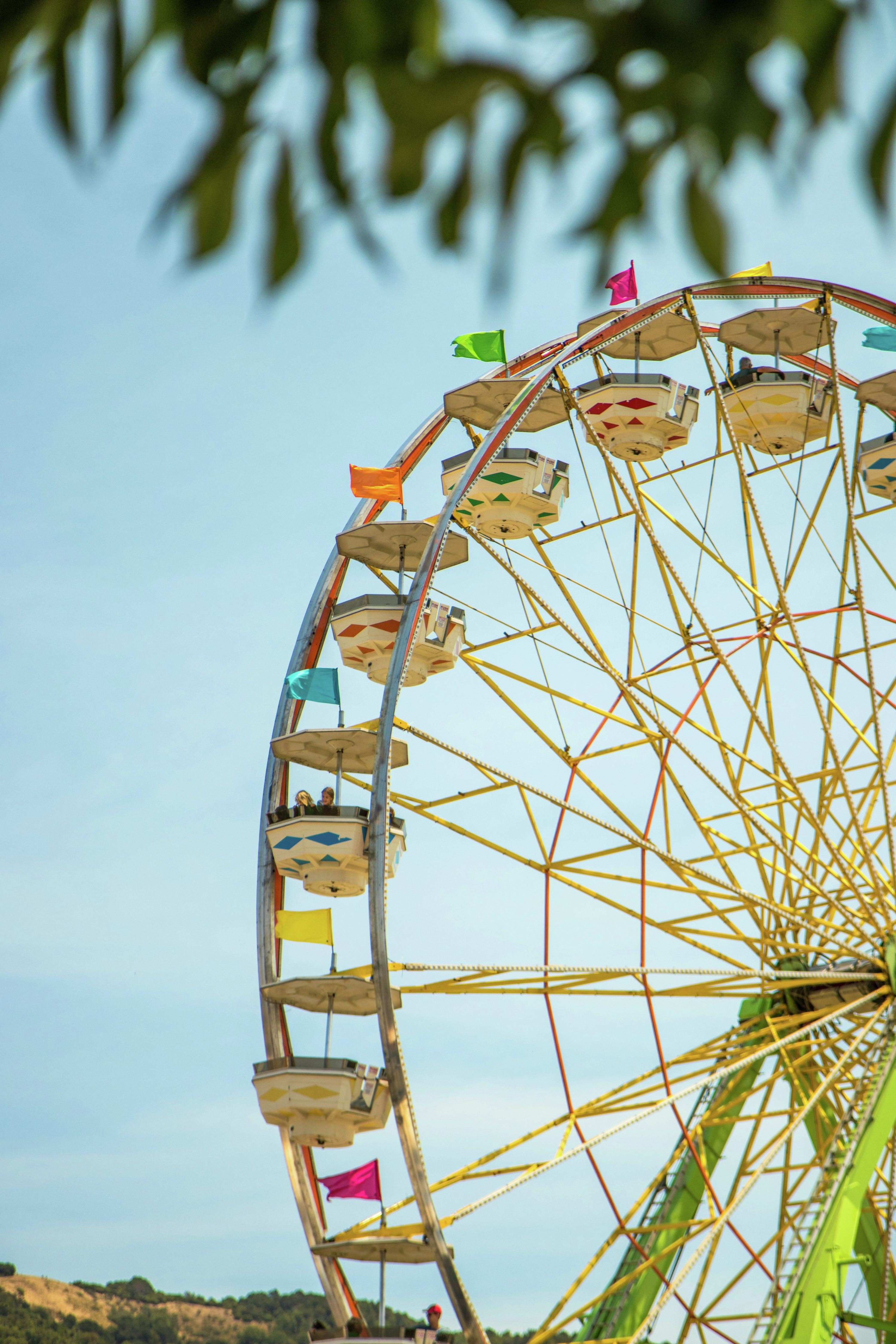 Townsville show organisers call out council