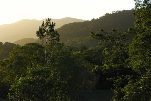 Mackay-Eungella road to expect disruptions again