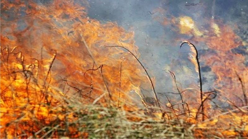 Gold Coast facing dangerous bushfire season episode artwork
