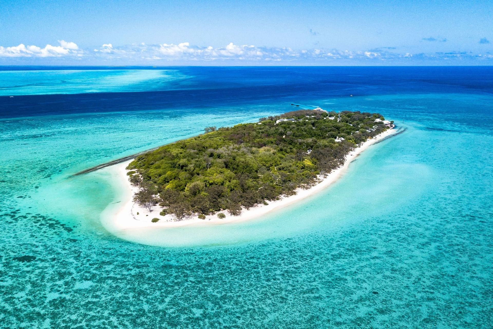 A CQ reef has been used in a new coral health study