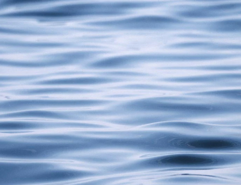 Drownings prompt urgent call from Royal Lifesaving 