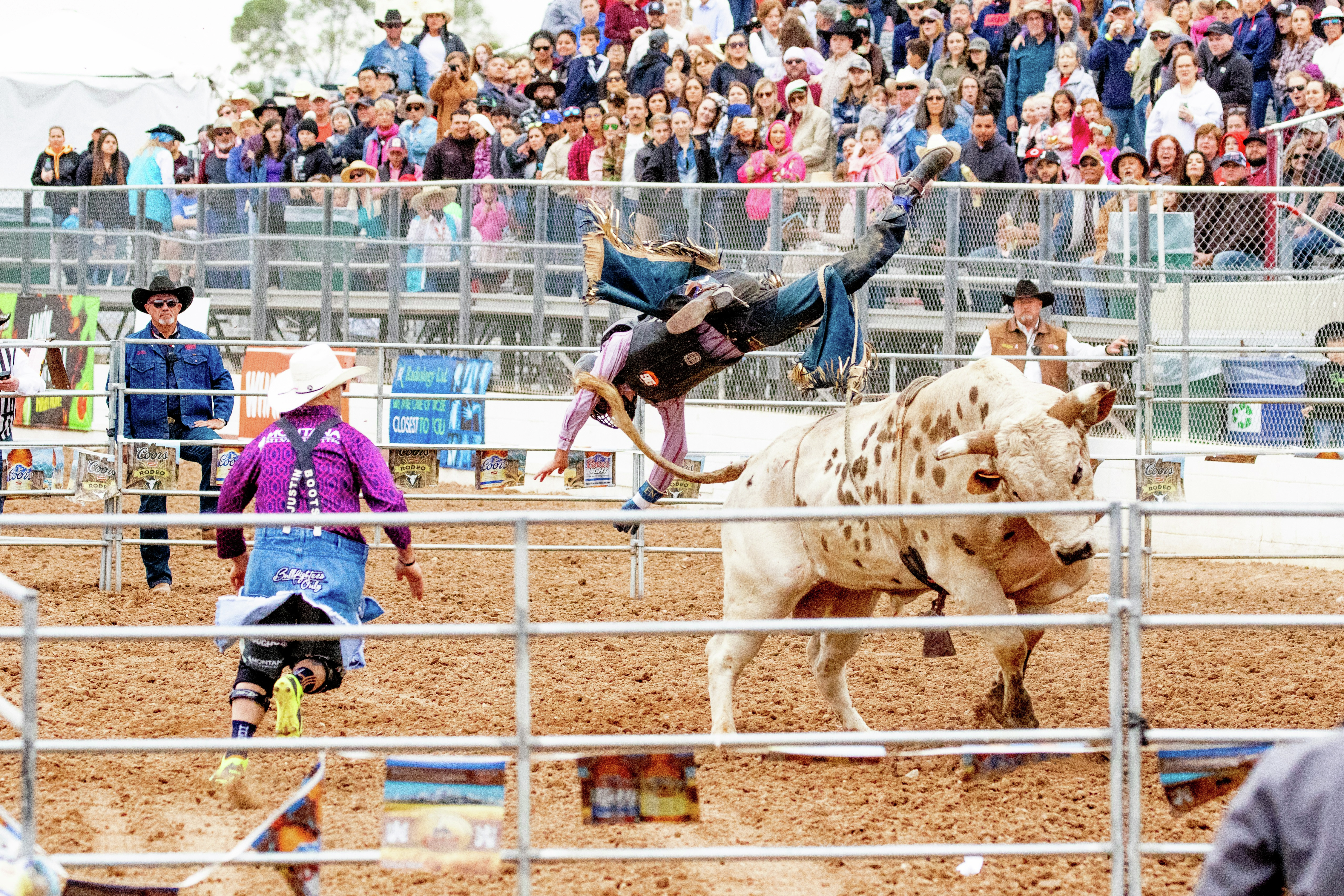 Professional Bull Riding teams have been announced