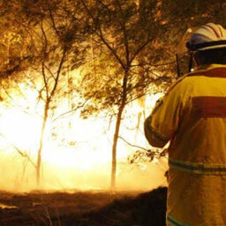 NSW Bush Fire Updates