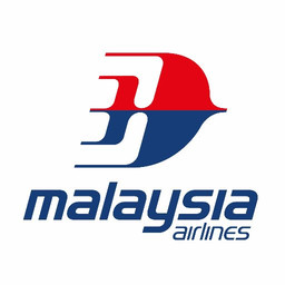 Arif was a passenger on board MH128
