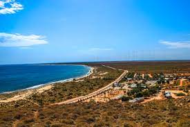 Funding applications open for businesses impacted by ex-tropical Cyclone Narelle episode artwork