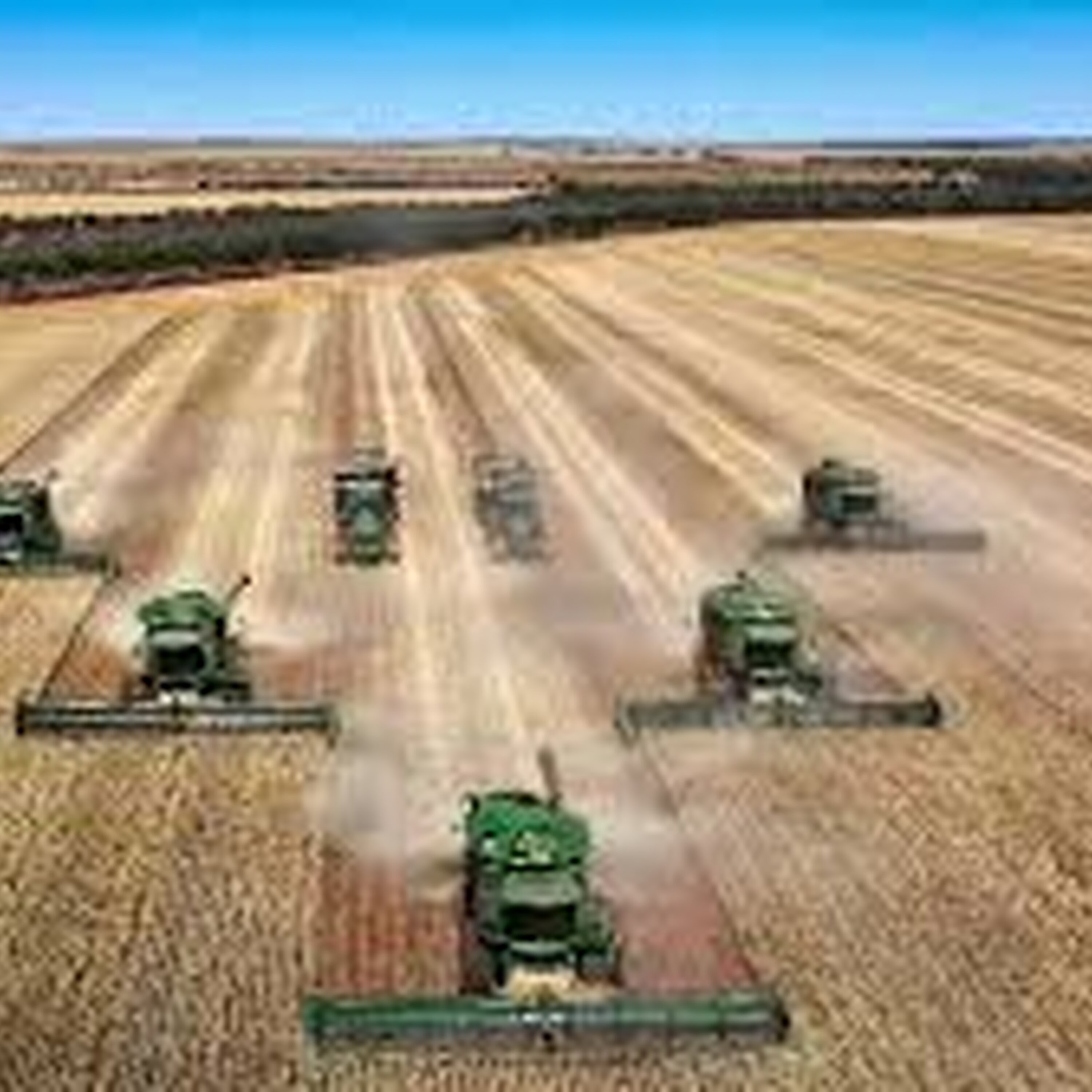 More Regional WA petrol stations move to rationing as diesel prices skyrocket