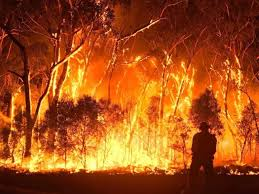 A busy bushfire season already prompts more warnings for residents 