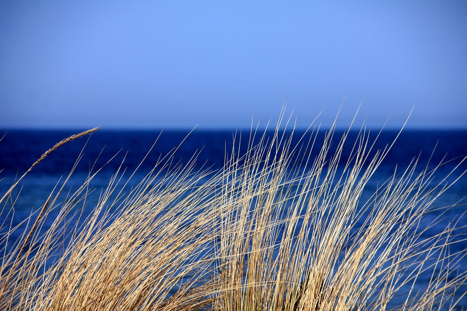 The demersal fishing closure back in effect across the West Coast bioregion