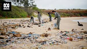 More parts of the State Governments plastic bag ban have now taken effect