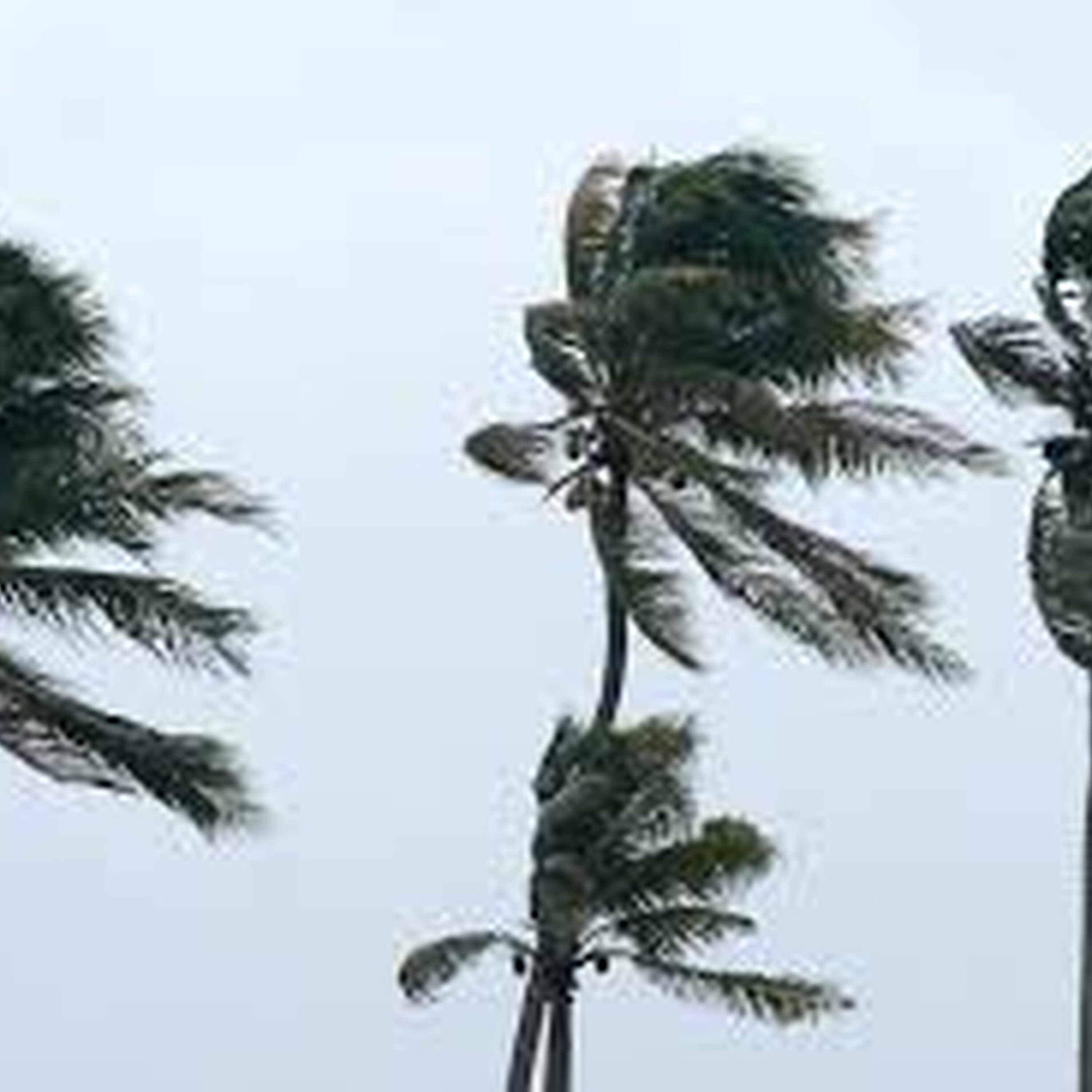 Thousands across the South-West still without power this morning