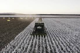 Cotton gin is ready to deliver turning the Kimberley into a Northern agricultural hub