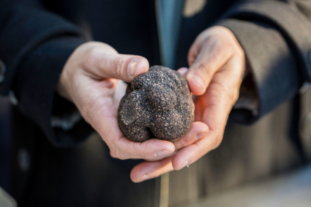 Truffle Kerfuffle axed for 2025
