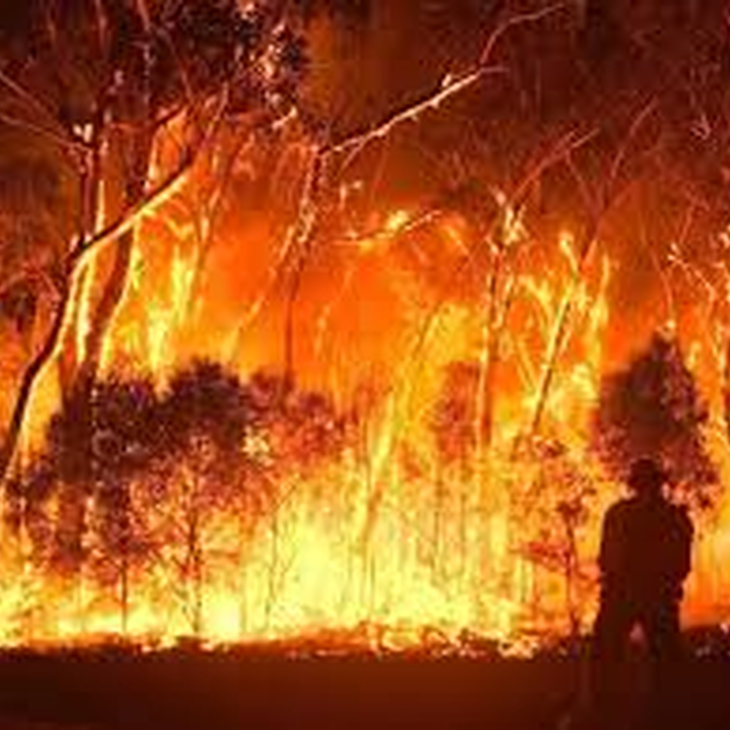 Spring bushfire concern for parts of the Great Southern