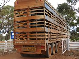 There are no live export ships booked to take WA sheep overseas this year