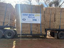Almost 6 thousand bales of hay sent across the border to help SA farmers 
