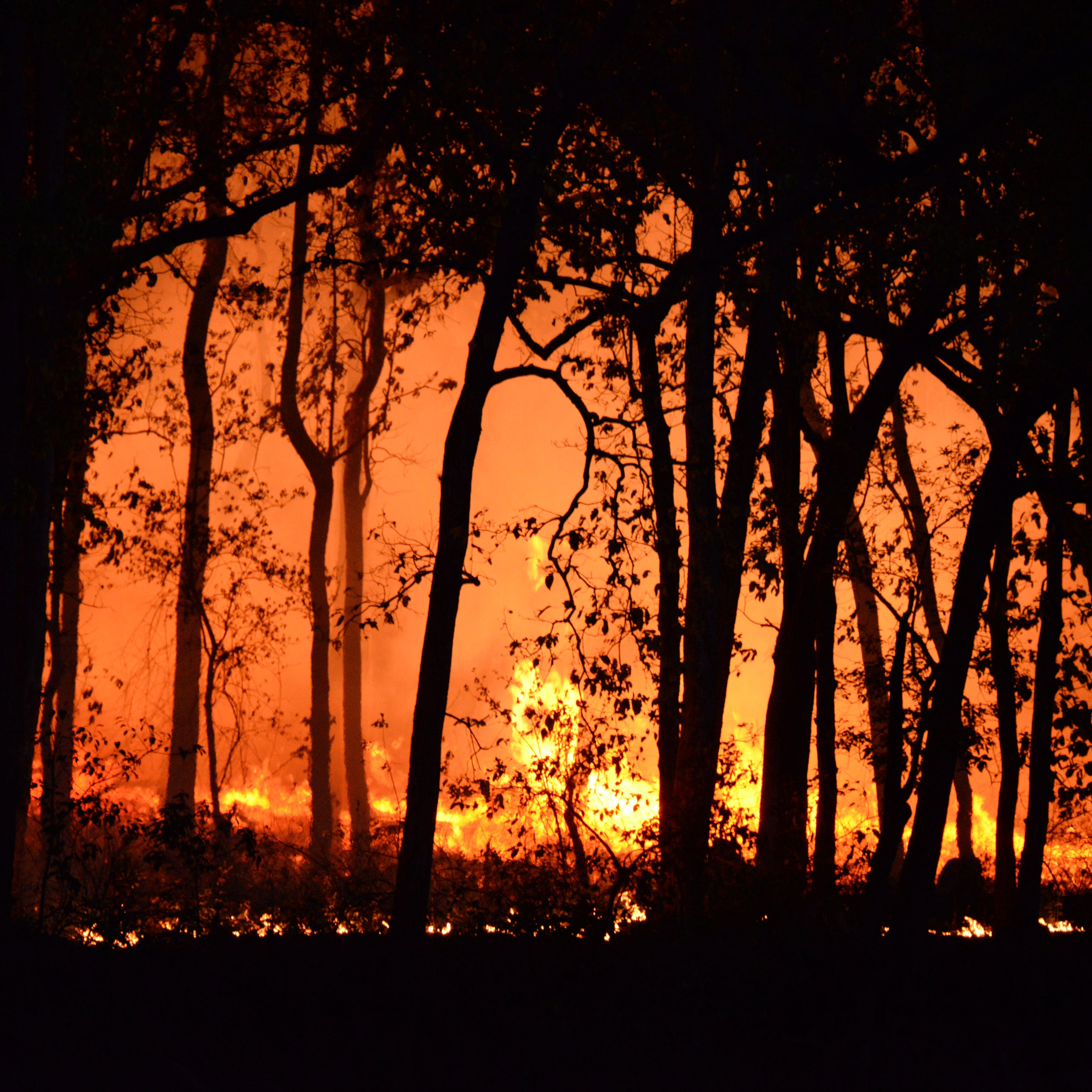 Properties escape damage in California Gully fire