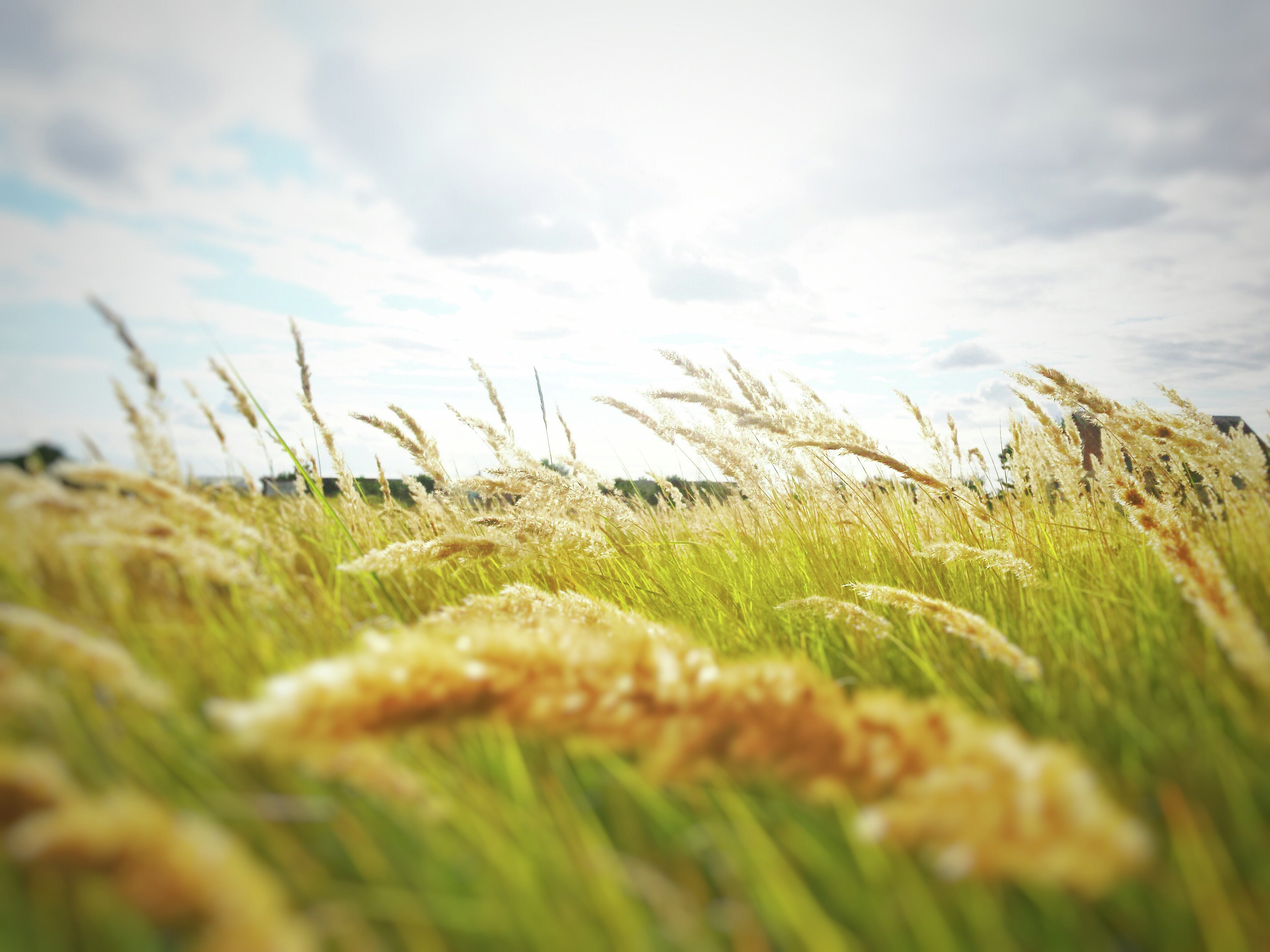 Farmers across our regions hoping for State Government assistance