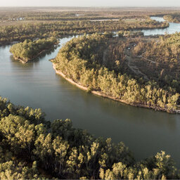 Local Mayors call for a fairer approach to the Murray-Darling Basin Plan review episode artwork