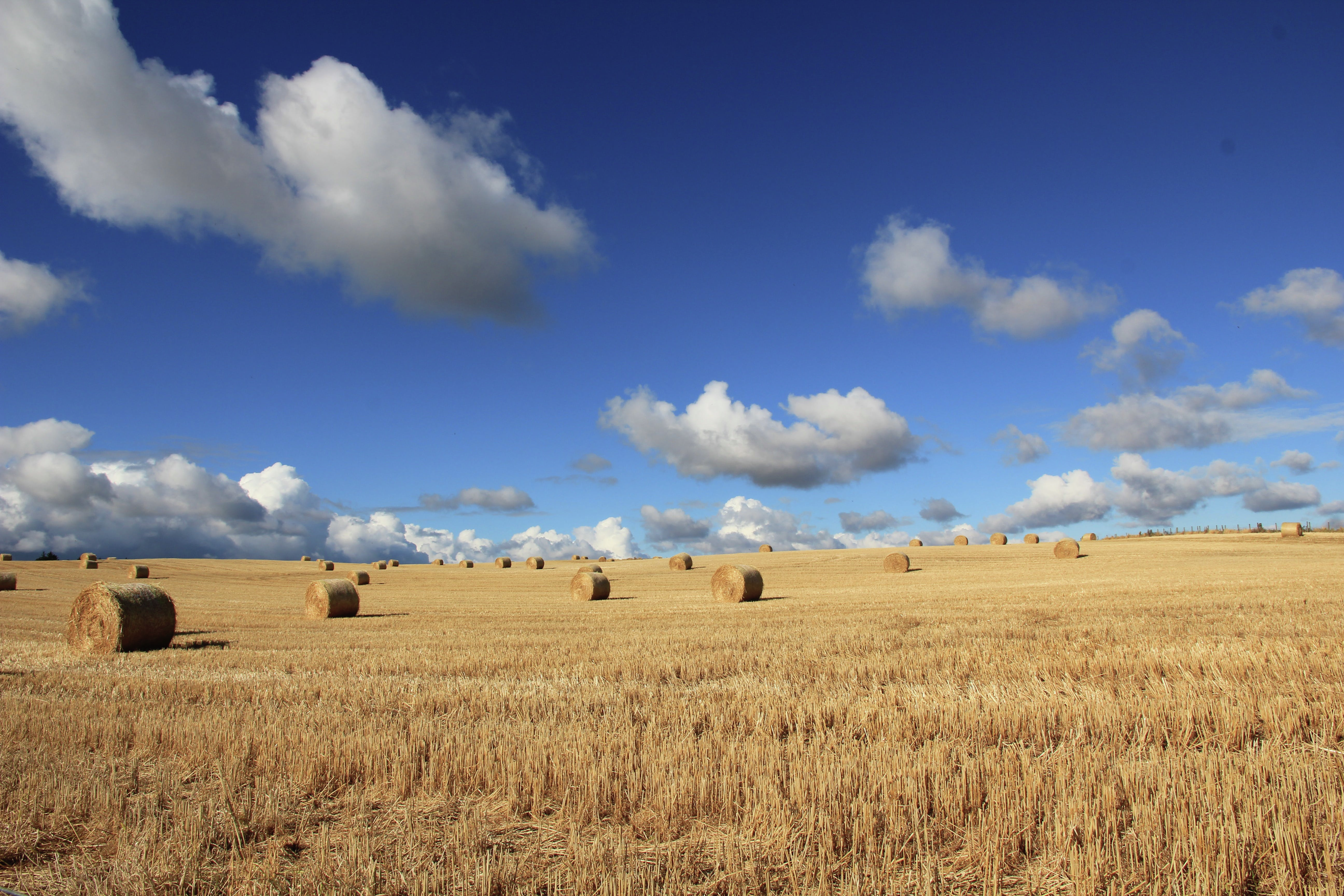 Farmland values fall across Gippsland