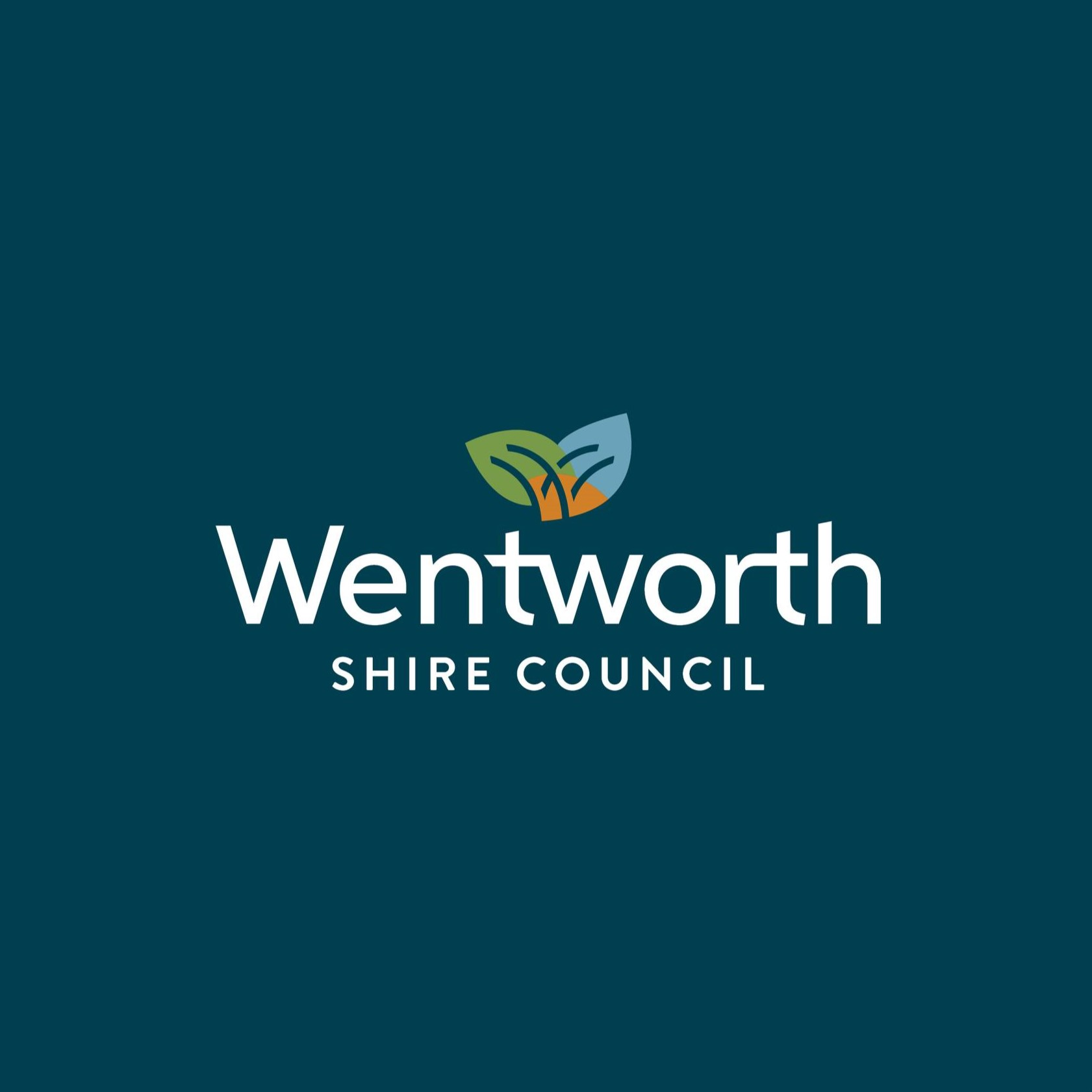 Wentworth Shire Councillor Tim Elstone dies