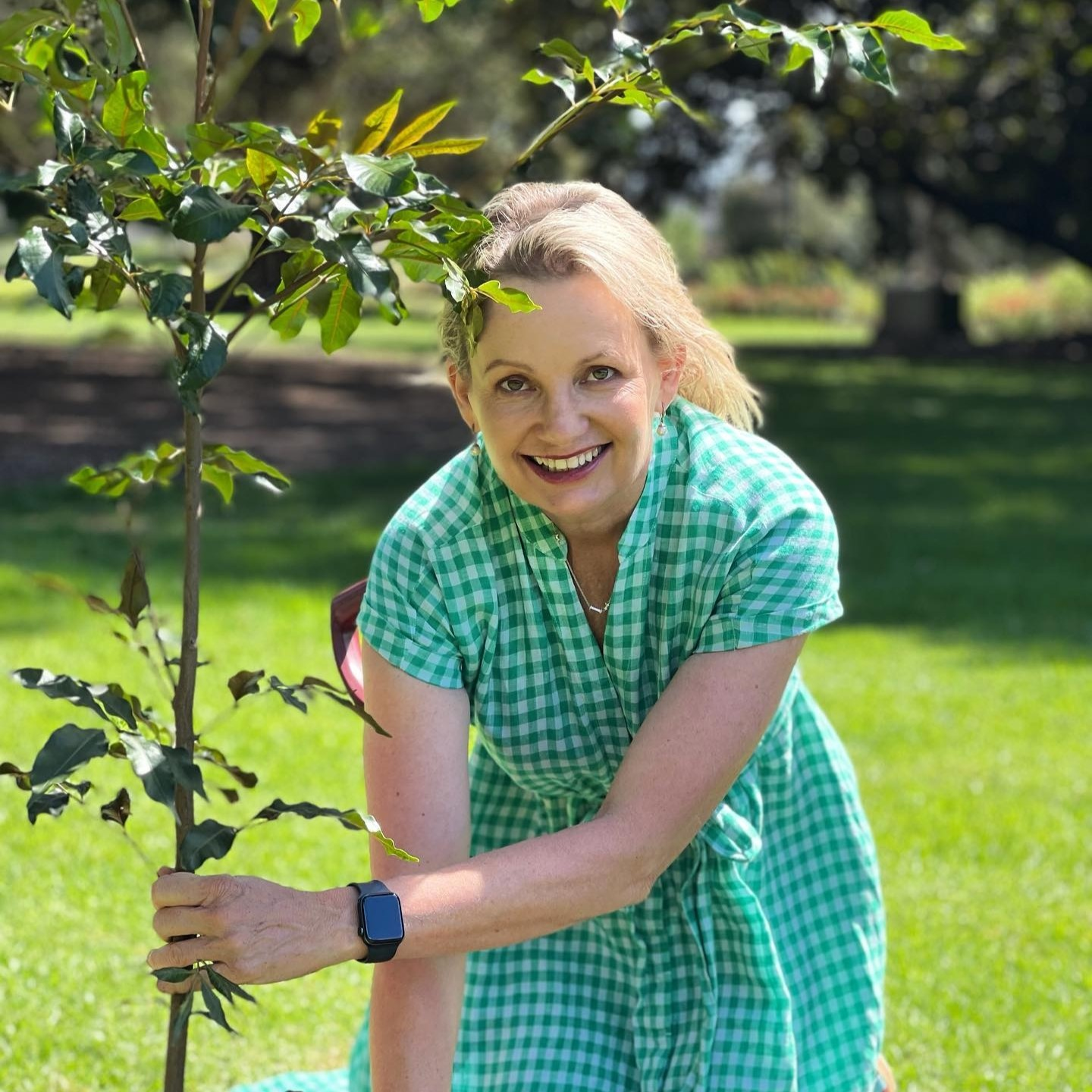 Farrer MP touted as next Federal Liberal leader