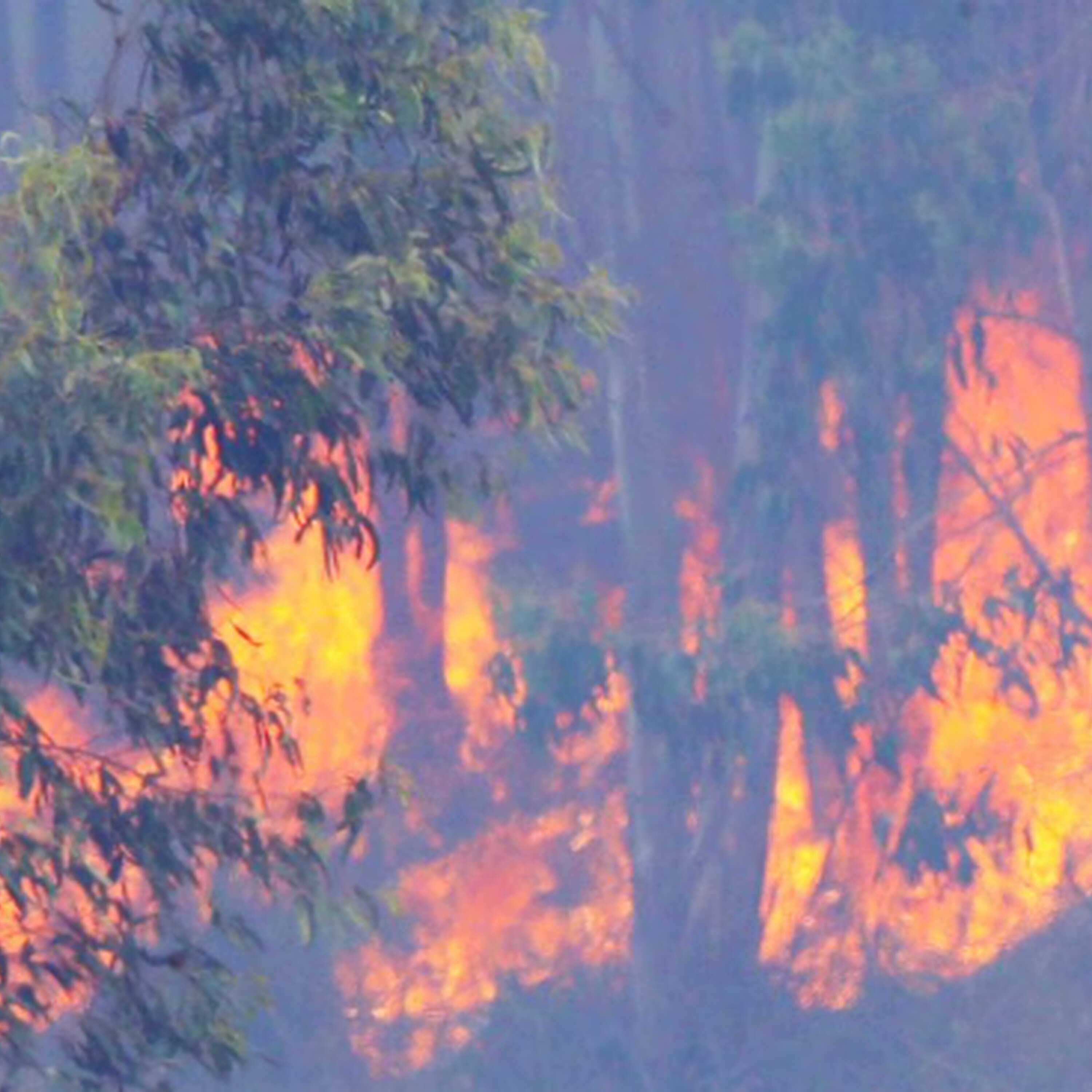 VIC FIRES: Longwood fire intensifies as three people remain missing
