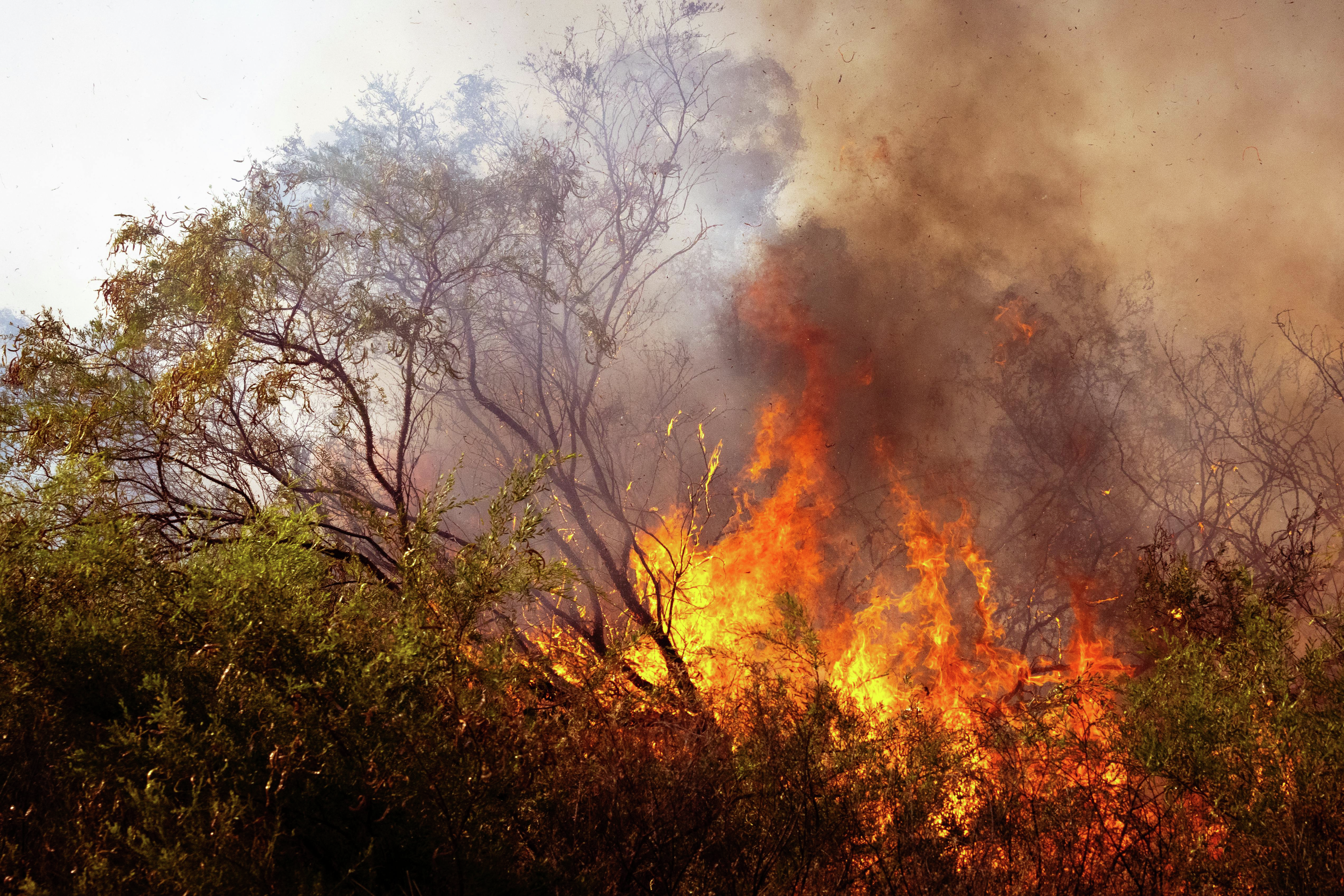 Are our bushfire victims getting enough housing support? One Liberal MP says no episode artwork