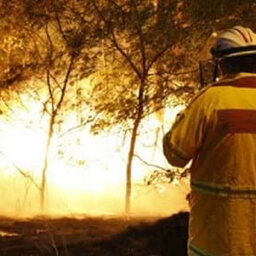 All the latest on the Upper Murray Bushfire as some warnings ease