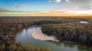 Growing anger along the Murray River over water policy decisions