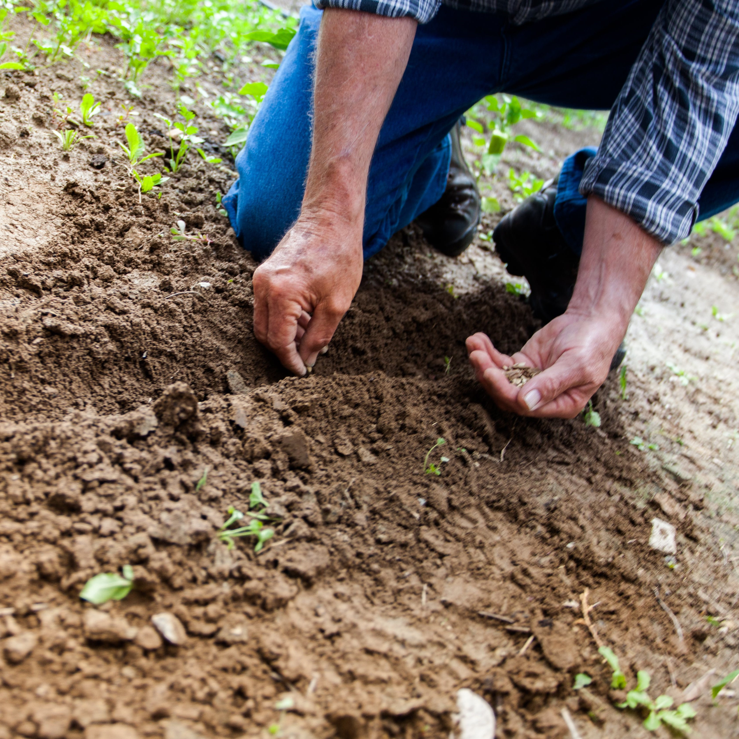 VFF welcomes Spring Street's position on water buybacks