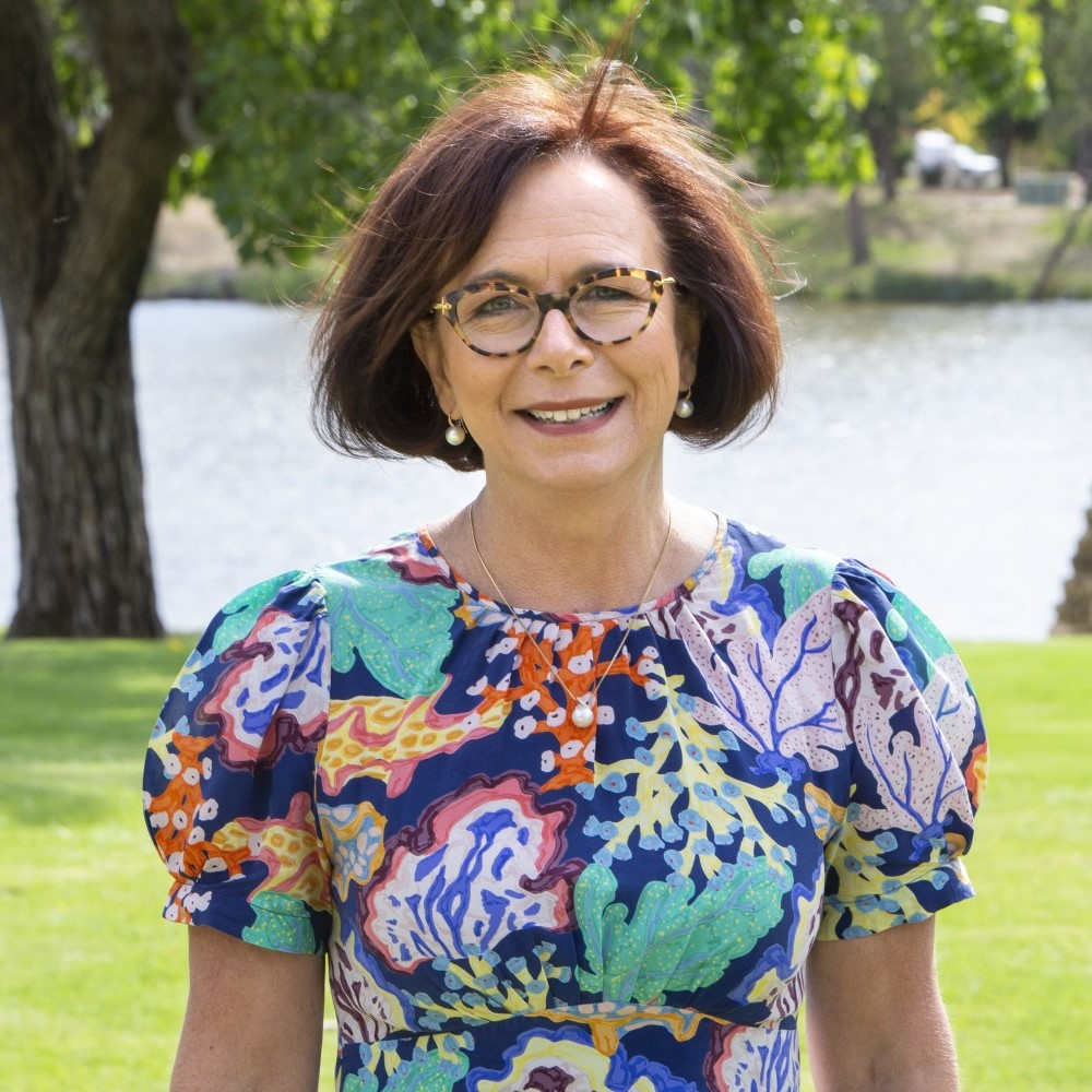 Anne Webster earns easy victory in Federal Election