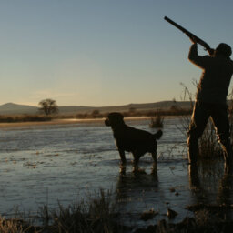 Opponents of duck hunting lash the cost of propping up the sport