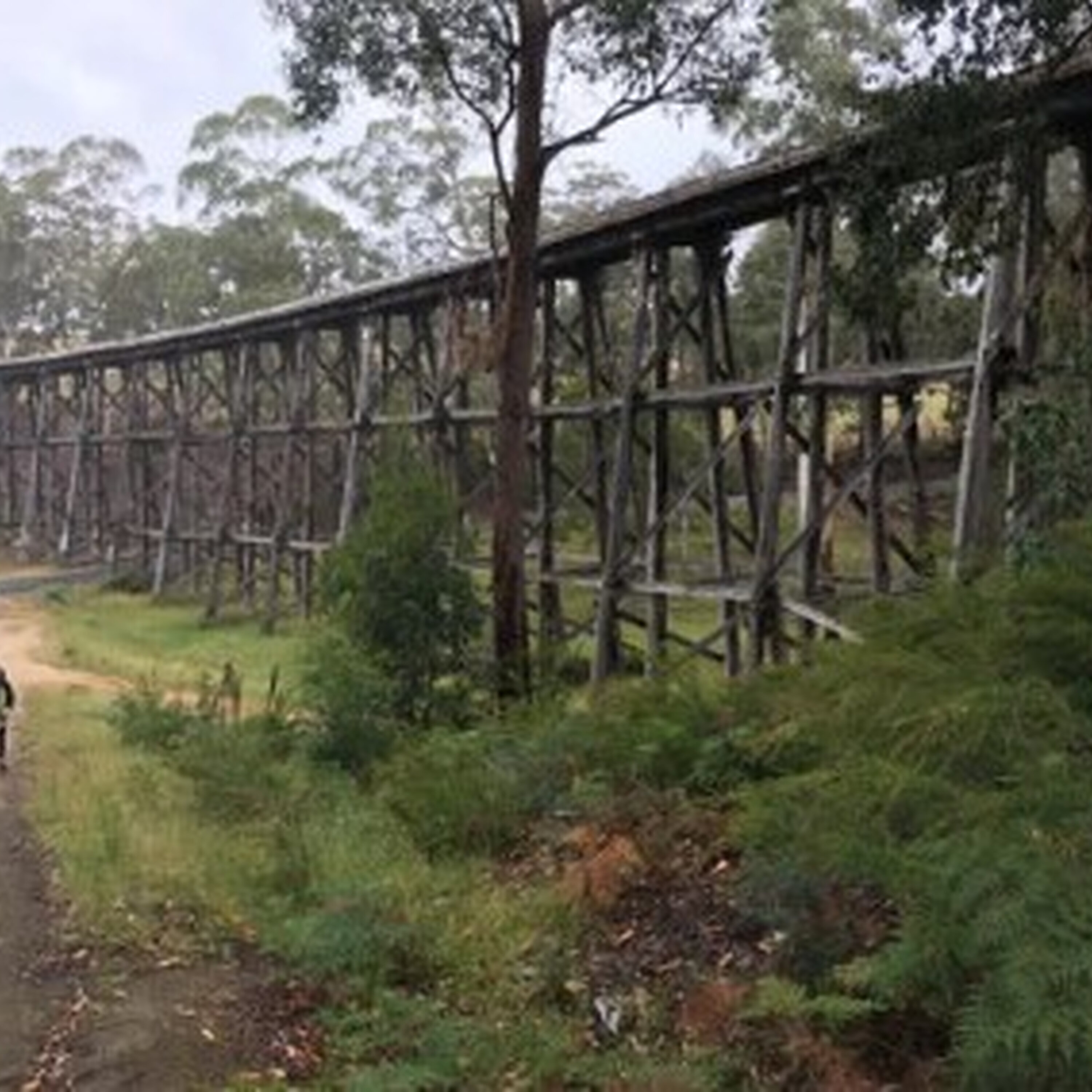 Final upgrades for East Gippsland Rail Trail opens Final upgrades for East Gippsland Rail Trail opens