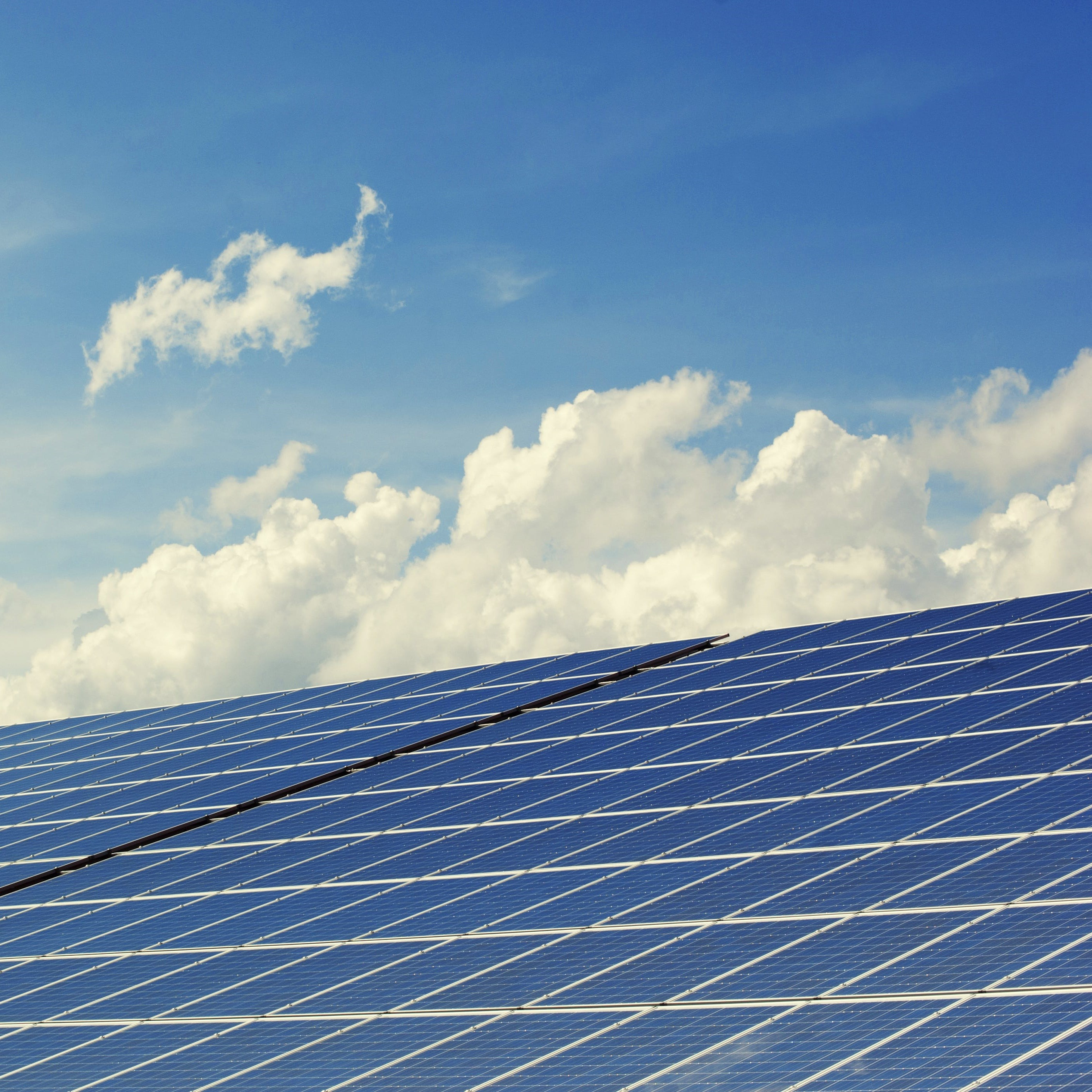 Why isn't Sunraysia a Renewable Energy Zone?