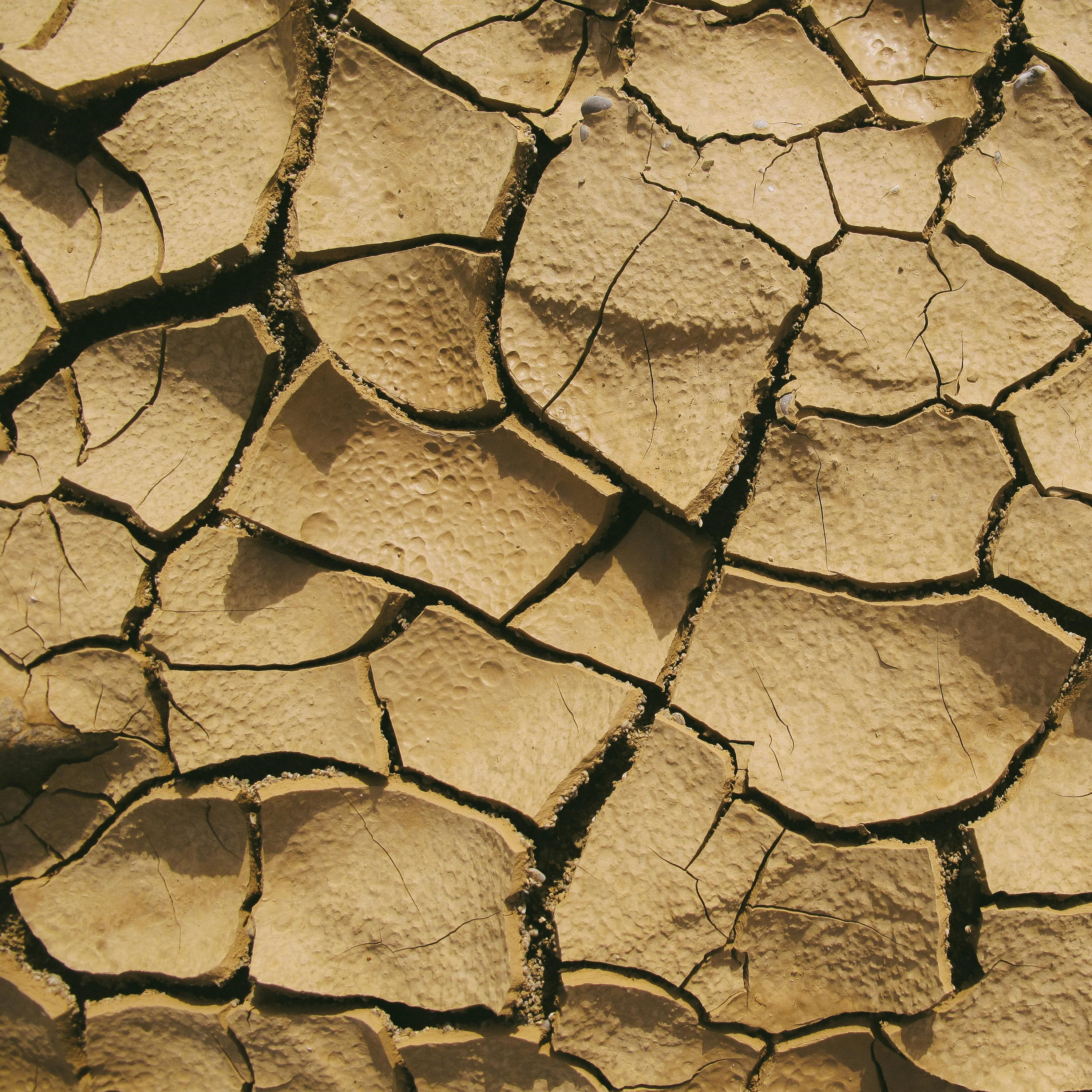 Victorian farmers pleading for more drought relief