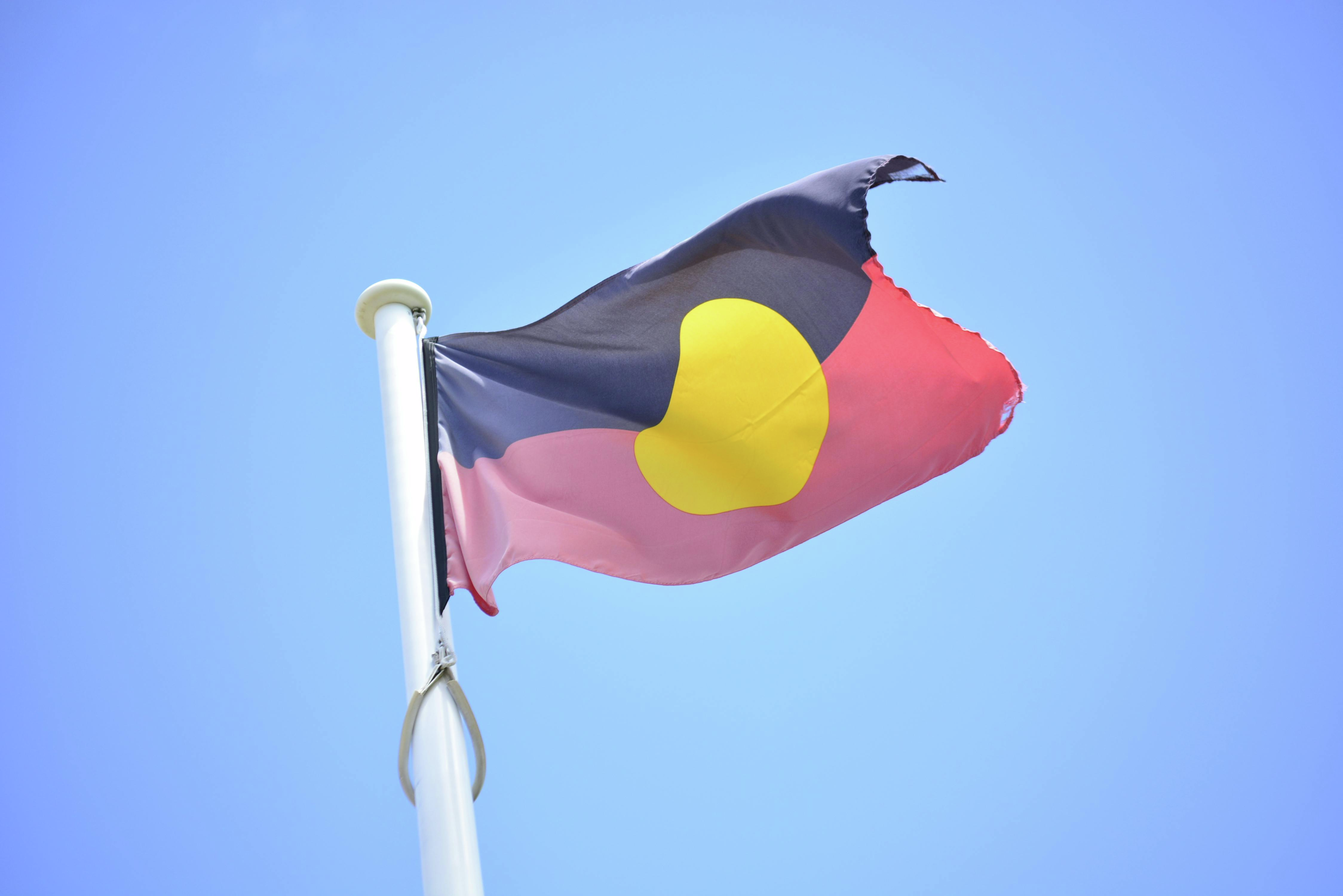 Pauline Hanson weighs in on David Farley's flags plan episode artwork