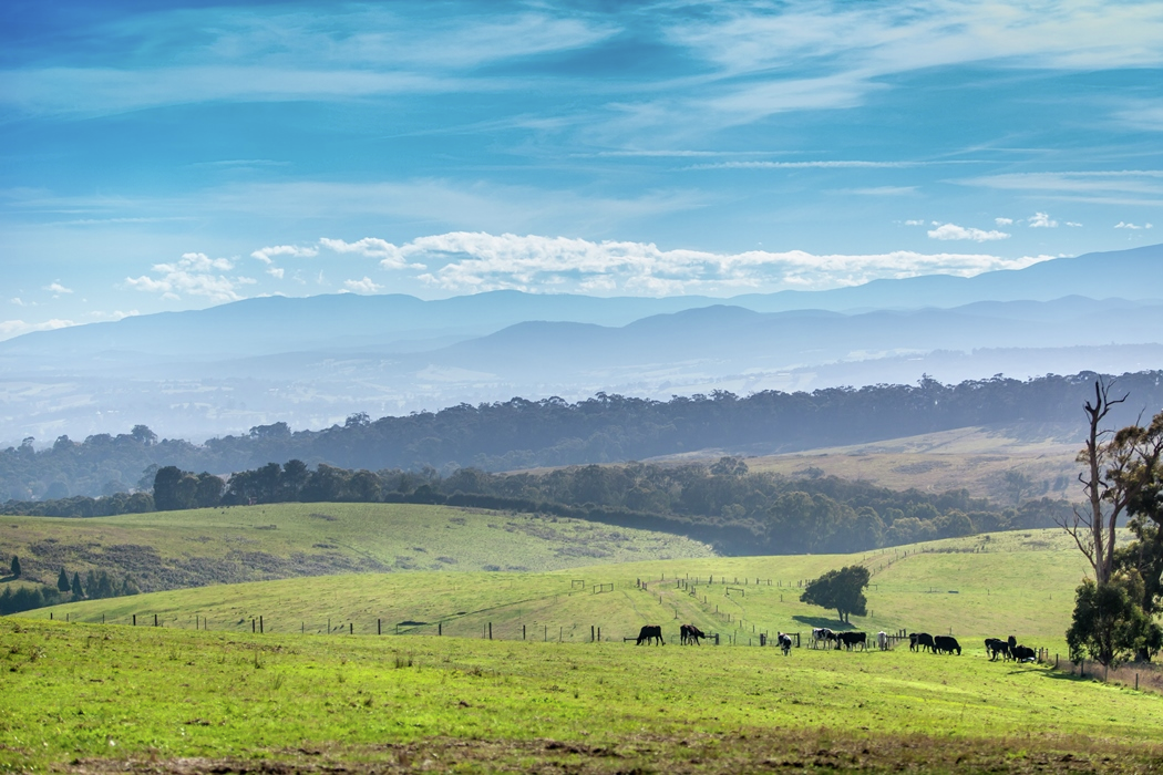 Latrobe City gearing up for a wave of major events